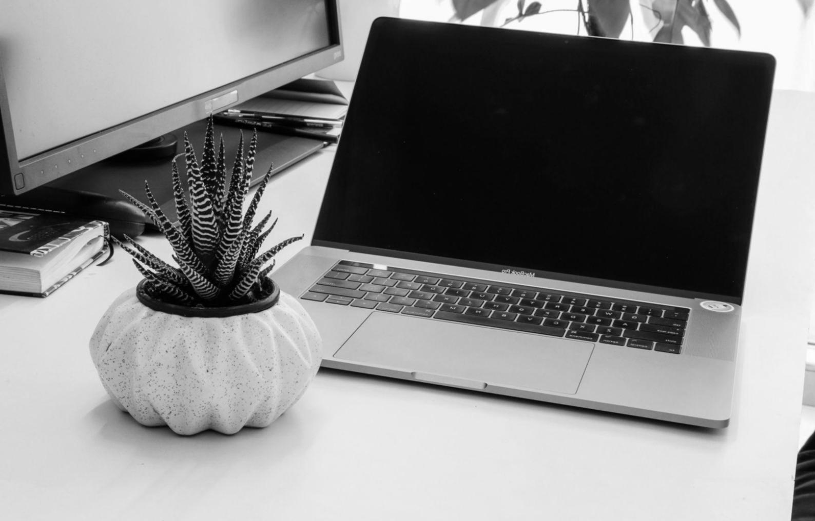 Développement des modules pratiques